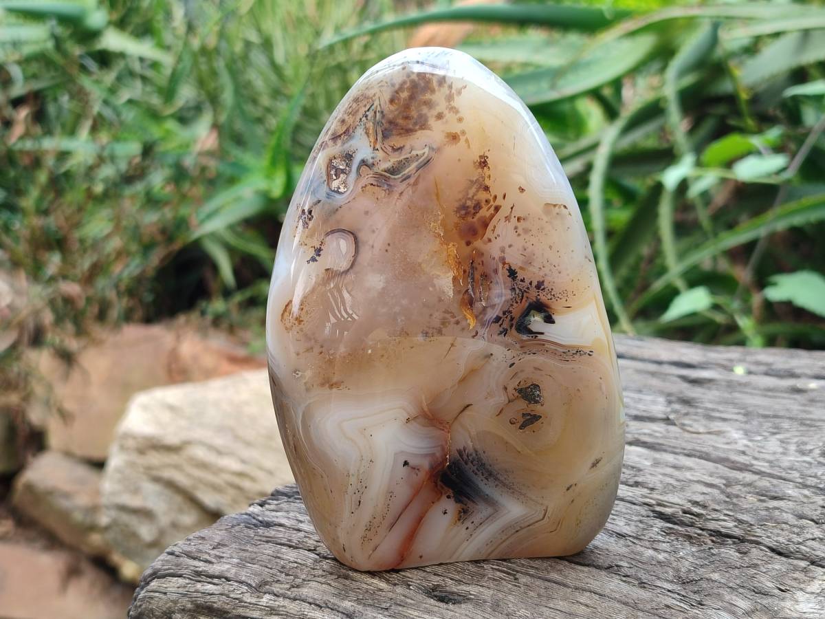 Polished Smokey Dendritic Agate Standing Free Forms x 3 From Madagascar - Toprock Gemstones and Minerals 