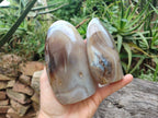Polished Smokey Dendritic Agate Standing Free Forms x 3 From Madagascar - Toprock Gemstones and Minerals 