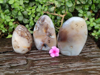 Polished Smokey Dendritic Agate Standing Free Forms x 3 From Madagascar