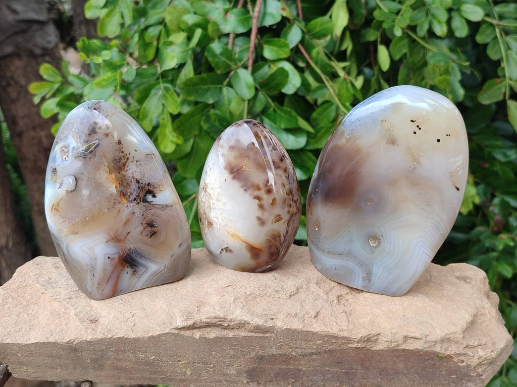 Polished Smokey Dendritic Agate Standing Free Forms x 3 From Madagascar - Toprock Gemstones and Minerals 