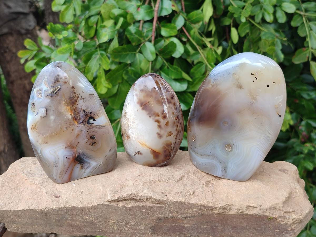 Polished Smokey Dendritic Agate Standing Free Forms x 3 From Madagascar - Toprock Gemstones and Minerals 