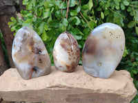 Polished Smokey Dendritic Agate Standing Free Forms x 3 From Madagascar
