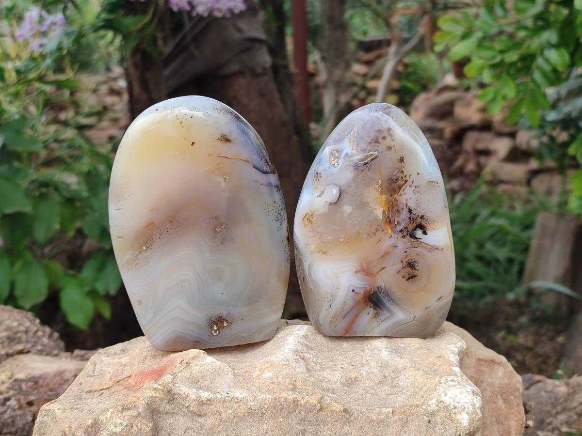 Polished Smokey Dendritic Agate Standing Free Forms x 3 From Madagascar - Toprock Gemstones and Minerals 
