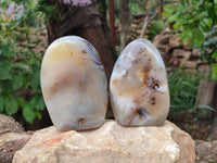 Polished Smokey Dendritic Agate Standing Free Forms x 3 From Madagascar