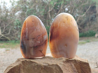Polished Smokey Dendritic Agate Standing Free Forms x 3 From Madagascar