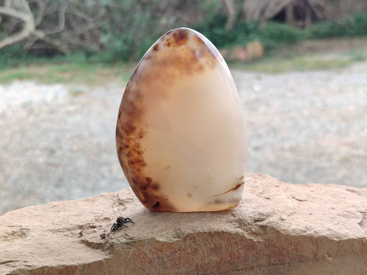 Polished Smokey Dendritic Agate Standing Free Forms x 3 From Madagascar - Toprock Gemstones and Minerals 