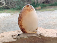 Polished Smokey Dendritic Agate Standing Free Forms x 3 From Madagascar