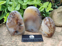 Polished Smokey Dendritic Agate Standing Free Forms x 3 From Madagascar