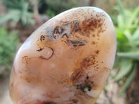 Polished Smokey Dendritic Agate Standing Free Forms x 3 From Madagascar