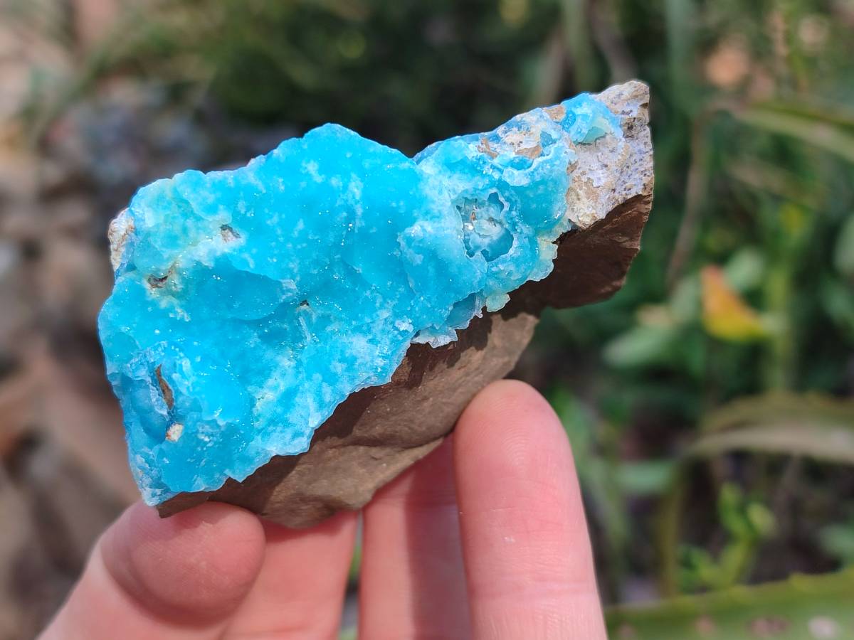 Natural Hemimorphite on Dolomite Specimens x 6 From Lupoto Mine, Congo - Toprock Gemstones and Minerals 