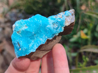 Natural Hemimorphite on Dolomite Specimens x 6 From Lupoto Mine, Congo