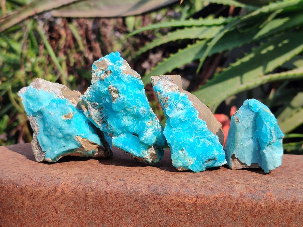 Natural Hemimorphite on Dolomite Specimens x 6 From Lupoto Mine, Congo - Toprock Gemstones and Minerals 