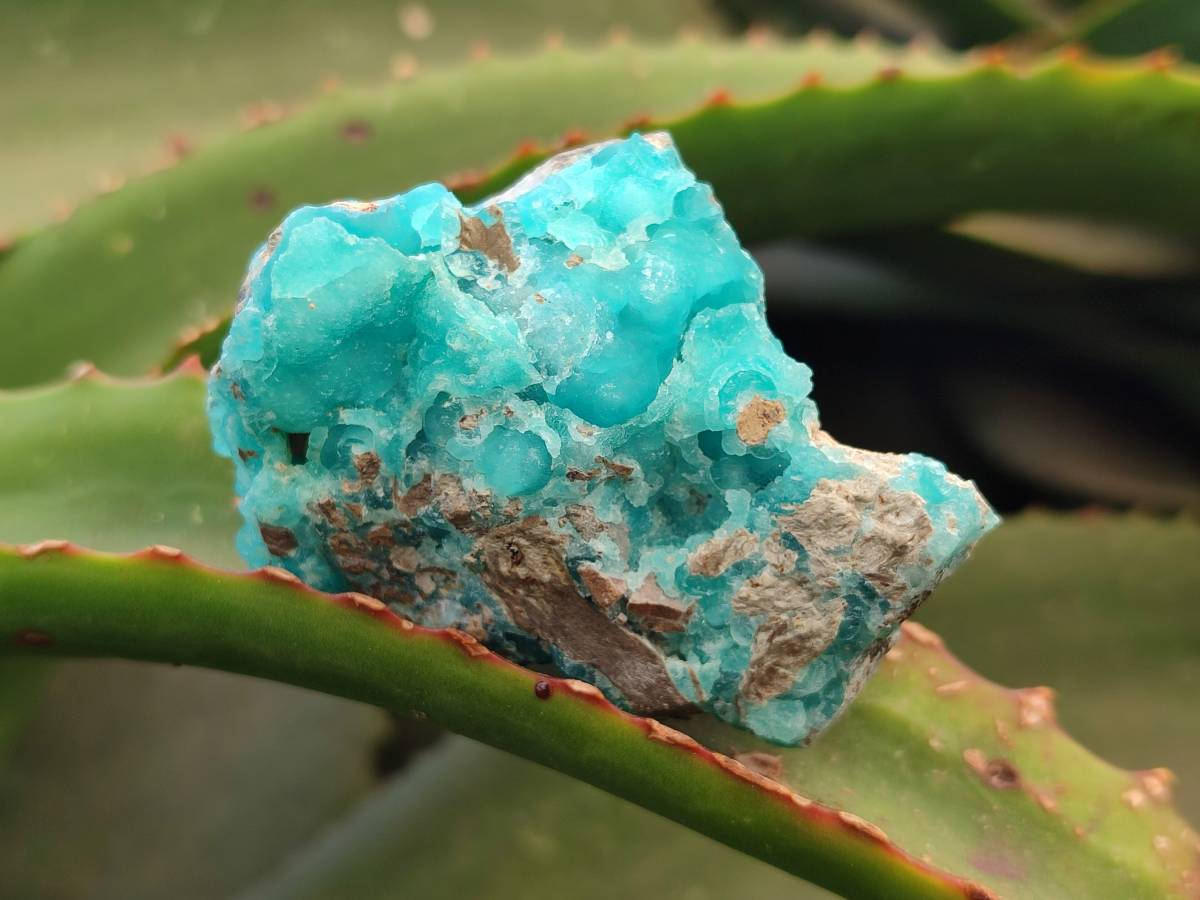 Natural Hemimorphite on Dolomite Specimens x 6 From Lupoto Mine, Congo - Toprock Gemstones and Minerals 