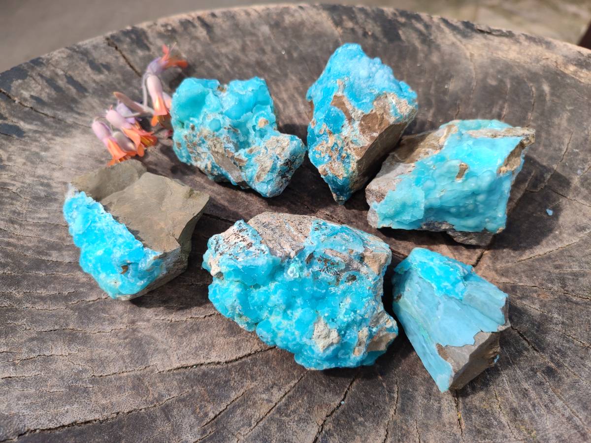 Natural Hemimorphite on Dolomite Specimens x 6 From Lupoto Mine, Congo - Toprock Gemstones and Minerals 