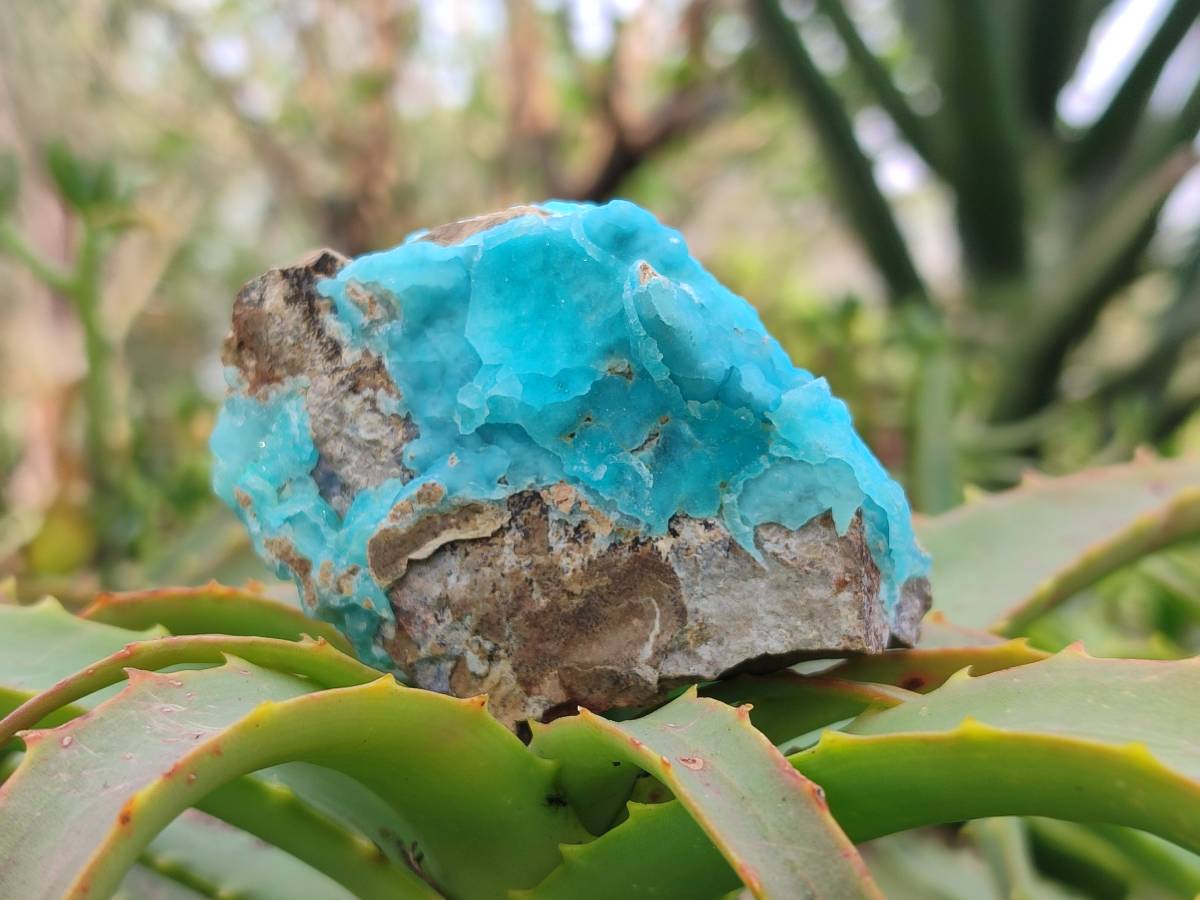 Natural Hemimorphite on Dolomite Specimens x 6 From Lupoto Mine, Congo - Toprock Gemstones and Minerals 