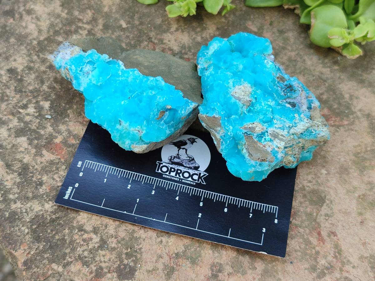 Natural Hemimorphite on Dolomite Specimens x 6 From Lupoto Mine, Congo - Toprock Gemstones and Minerals 
