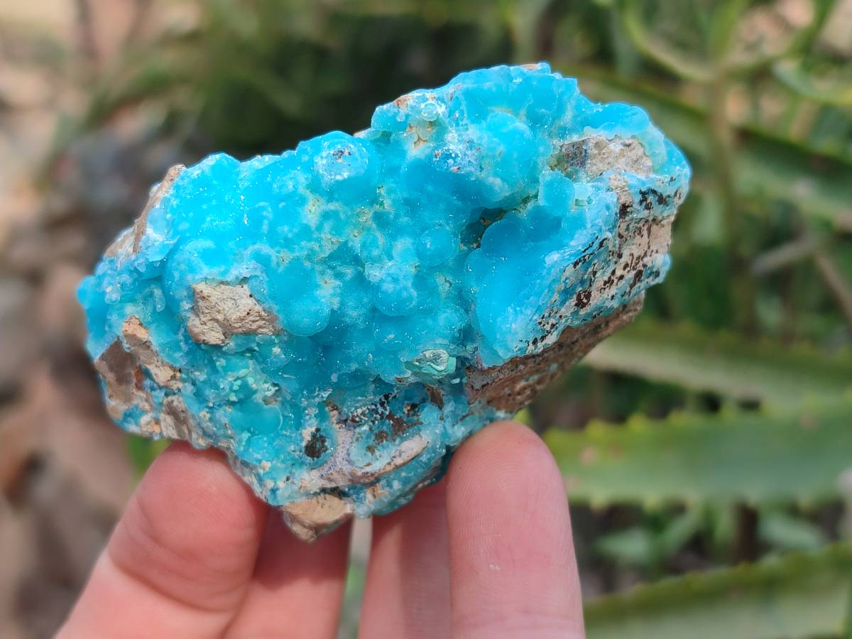 Natural Hemimorphite on Dolomite Specimens x 6 From Lupoto Mine, Congo - Toprock Gemstones and Minerals 