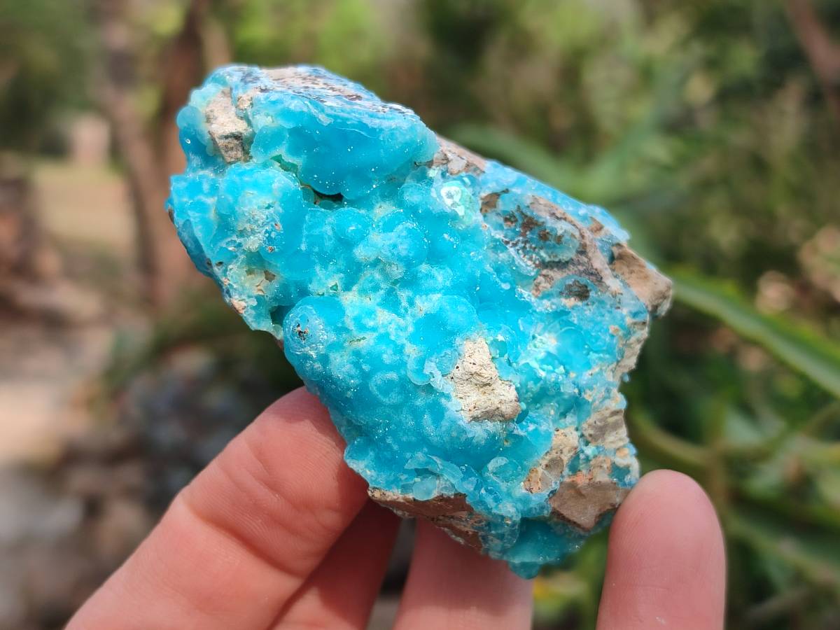 Natural Hemimorphite on Dolomite Specimens x 6 From Lupoto Mine, Congo - Toprock Gemstones and Minerals 
