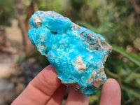 Natural Hemimorphite on Dolomite Specimens x 6 From Lupoto Mine, Congo