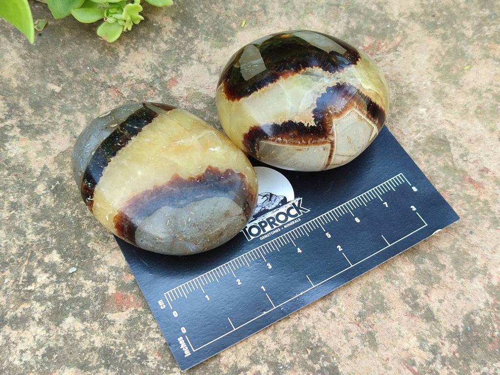 Polished Septerye Palm Stones x 20 From Mahajanga, Madagascar - Toprock Gemstones and Minerals 