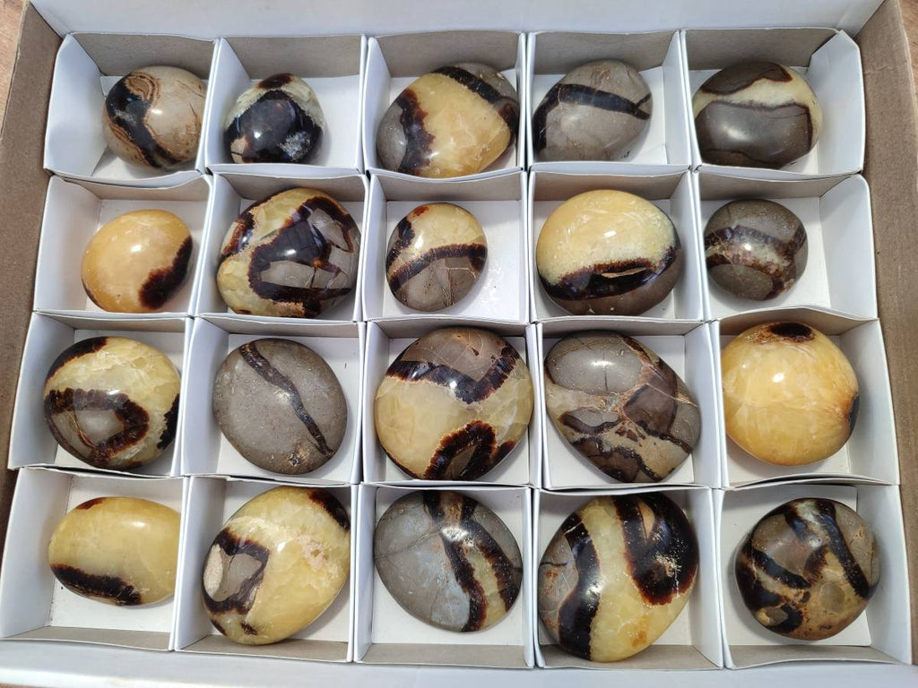 Polished Septerye Palm Stones x 20 From Mahajanga, Madagascar - Toprock Gemstones and Minerals 