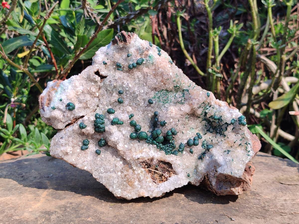 Natural Ball Malachite and Drusy Quartz On Dolomite Matrix Specimens x 1 From Kambove, Congo - Toprock Gemstones and Minerals 