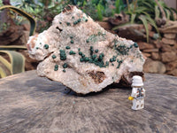 Natural Ball Malachite and Drusy Quartz On Dolomite Matrix Specimens x 1 From Kambove, Congo