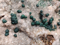 Natural Ball Malachite and Drusy Quartz On Dolomite Matrix Specimens x 1 From Kambove, Congo