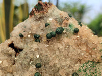 Natural Ball Malachite and Drusy Quartz On Dolomite Matrix Specimens x 1 From Kambove, Congo