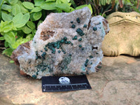 Natural Ball Malachite and Drusy Quartz On Dolomite Matrix Specimens x 1 From Kambove, Congo