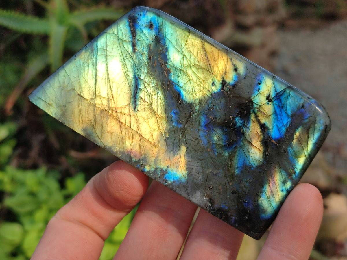 Polished Labradorite Standing Free Forms x 6 From Tulear, Madagascar - Toprock Gemstones and Minerals 