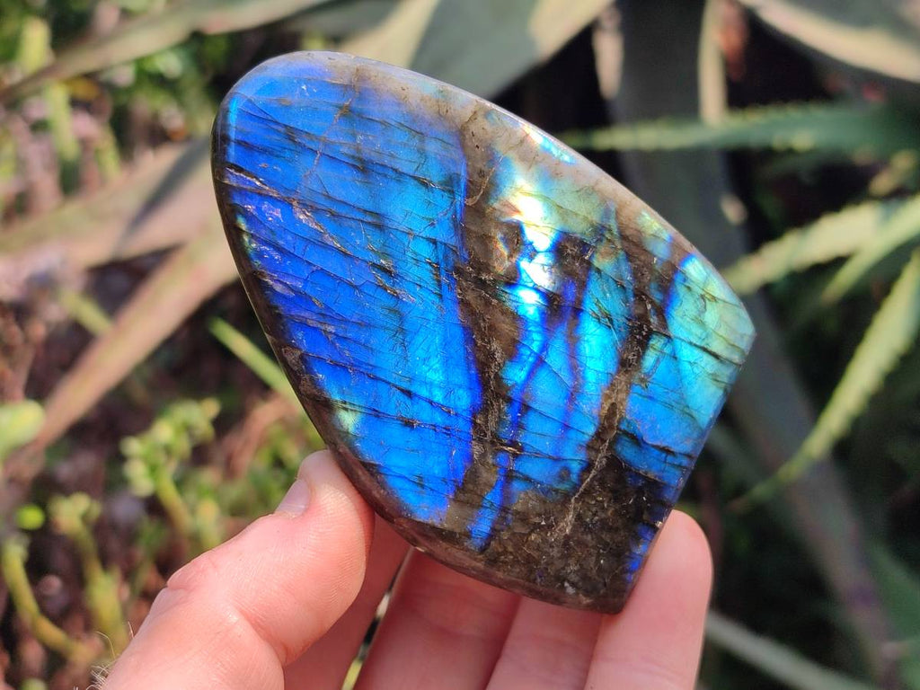 Polished Labradorite Standing Free Forms x 6 From Tulear, Madagascar - Toprock Gemstones and Minerals 