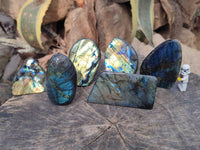 Polished Labradorite Standing Free Forms x 6 From Tulear, Madagascar