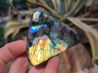 Polished Labradorite Standing Free Forms x 6 From Tulear, Madagascar