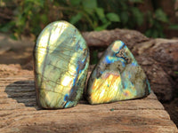 Polished Labradorite Standing Free Forms x 6 From Tulear, Madagascar