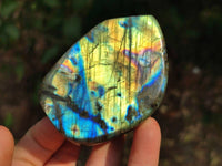 Polished Labradorite Standing Free Forms x 6 From Tulear, Madagascar