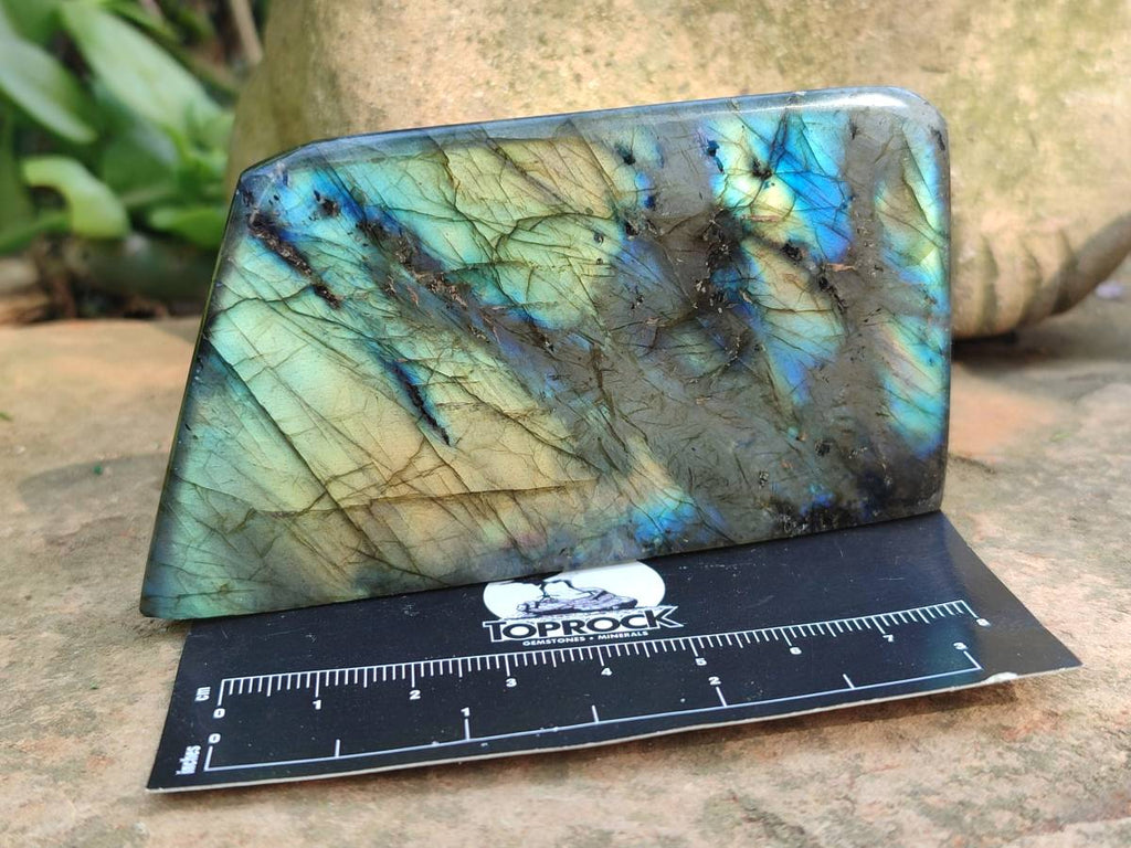 Polished Labradorite Standing Free Forms x 6 From Tulear, Madagascar - Toprock Gemstones and Minerals 