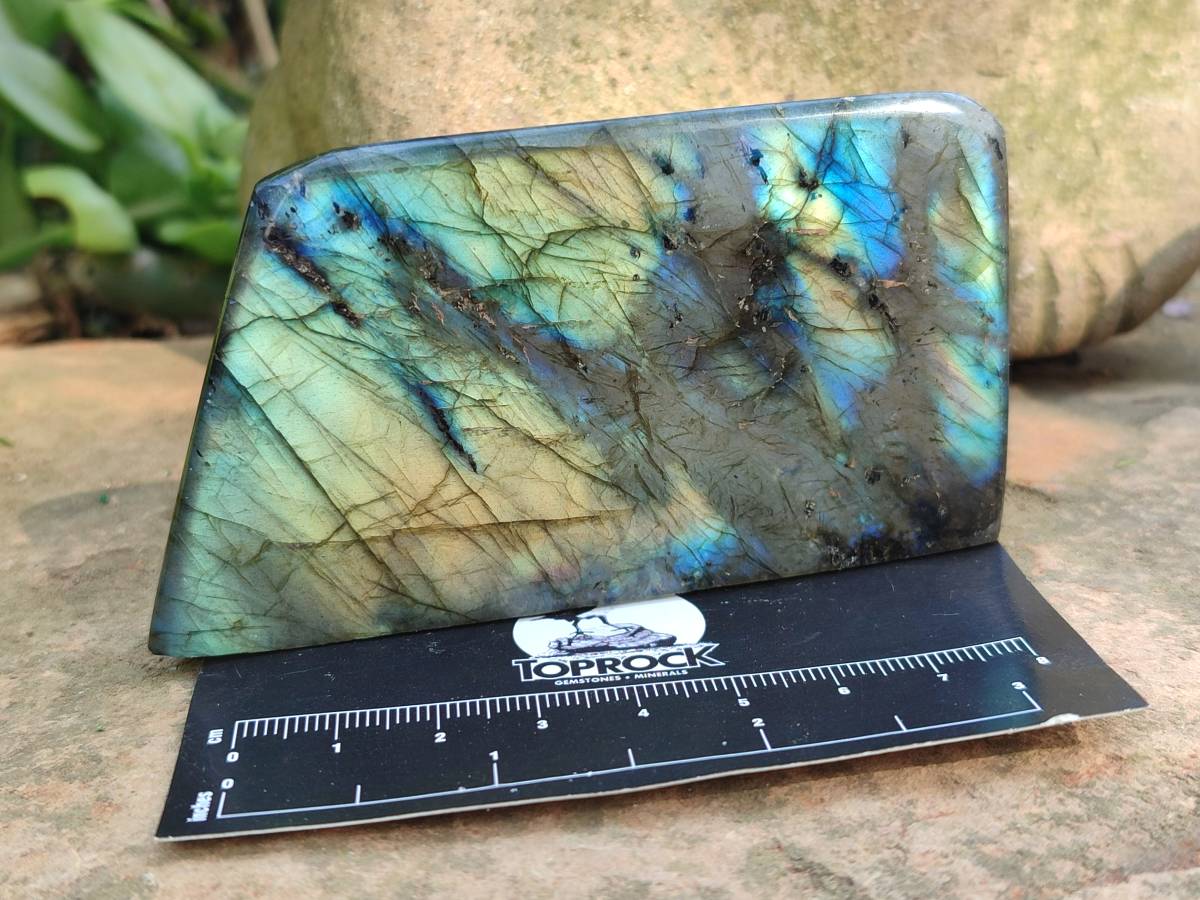 Polished Labradorite Standing Free Forms x 6 From Tulear, Madagascar - Toprock Gemstones and Minerals 