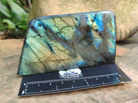 Polished Labradorite Standing Free Forms x 6 From Tulear, Madagascar
