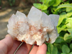 Natural Spirit Quartz Clusters x 4 From Boekenhouthoek, South Africa - Toprock Gemstones and Minerals 