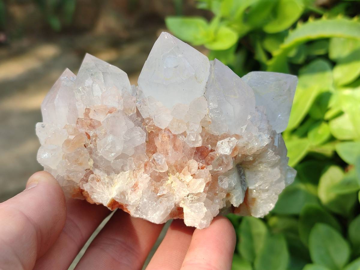 Natural Spirit Quartz Clusters x 4 From Boekenhouthoek, South Africa - Toprock Gemstones and Minerals 