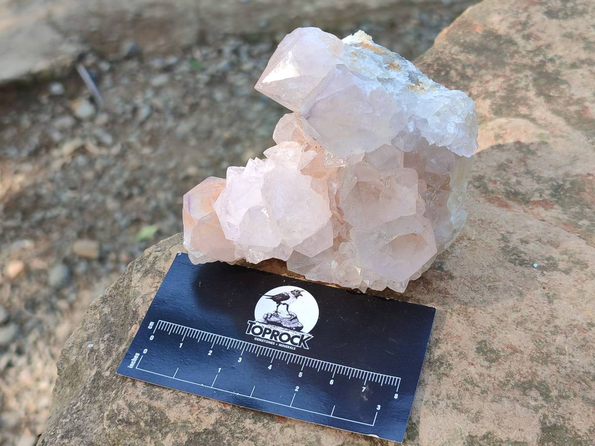 Natural Spirit Quartz Clusters x 4 From Boekenhouthoek, South Africa - Toprock Gemstones and Minerals 