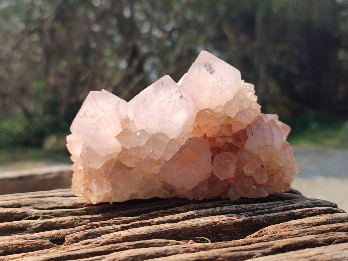 Natural Spirit Quartz Clusters x 4 From Boekenhouthoek, South Africa - Toprock Gemstones and Minerals 