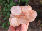 Natural Spirit Quartz Clusters x 4 From Boekenhouthoek, South Africa - Toprock Gemstones and Minerals 
