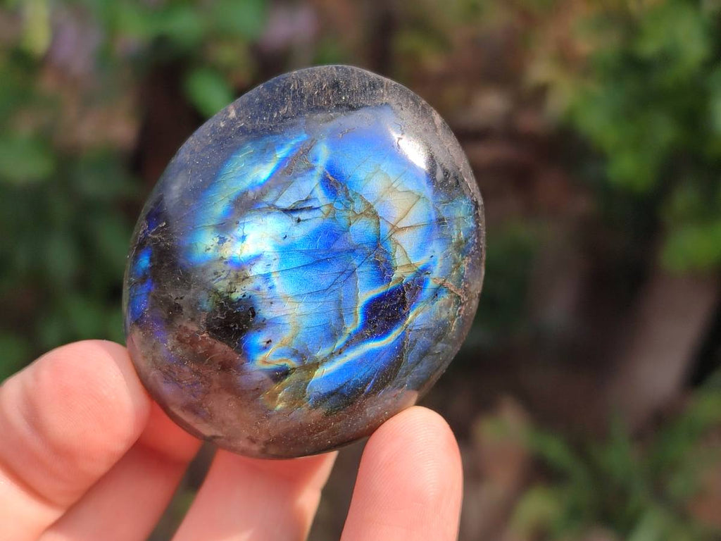 Polished Labradorite Palm Stones x 12 From Tulear, Madagascar - Toprock Gemstones and Minerals 