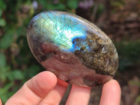 Polished Labradorite Palm Stones x 12 From Tulear, Madagascar