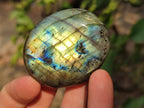 Polished Labradorite Palm Stones x 12 From Tulear, Madagascar - Toprock Gemstones and Minerals 