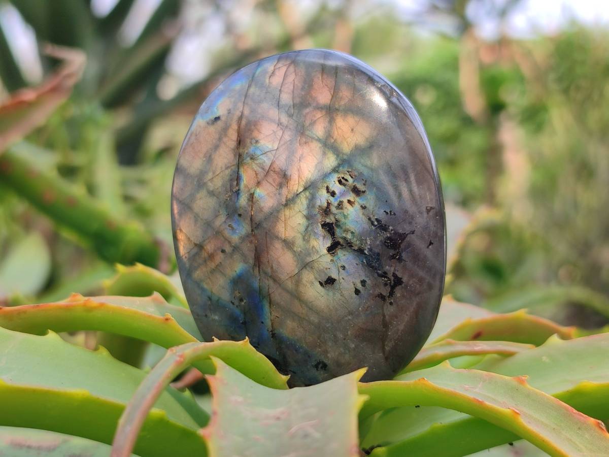 Polished Labradorite Palm Stones x 12 From Tulear, Madagascar - Toprock Gemstones and Minerals 