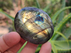 Polished Labradorite Palm Stones x 12 From Tulear, Madagascar - Toprock Gemstones and Minerals 