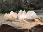 Natural Quartz Clusters x 24 From Madagascar - Toprock Gemstones and Minerals 